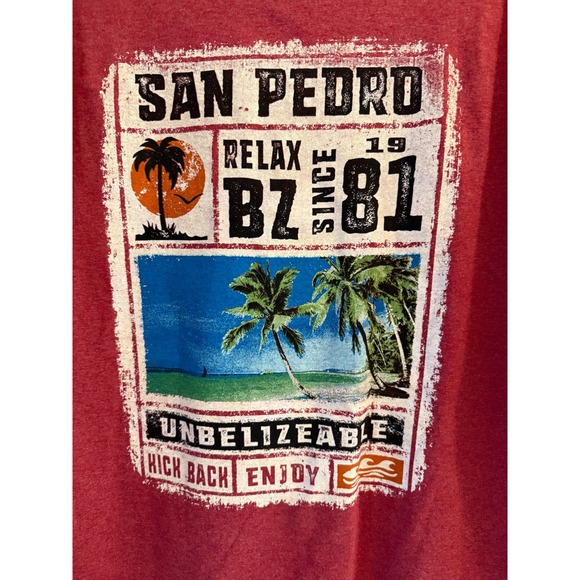 San Pedro Belize BZ 81 Graphic T-Shirt Gildan Ultra Cotton Mens Size Large - Picture 4 of 5